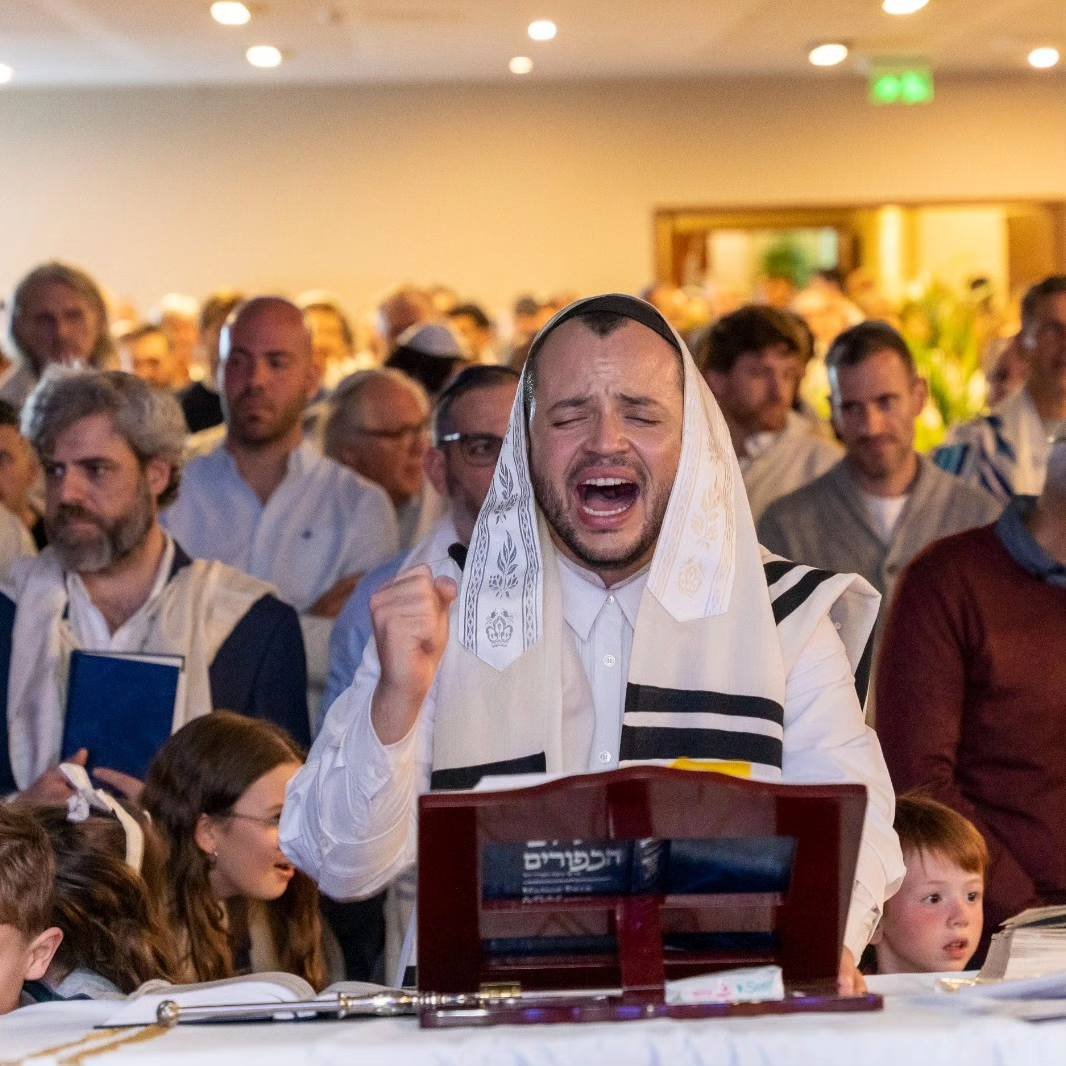 Ecosistema Kabalah Universal